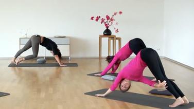 Yoga Video Faszien Yoga: Fluid Refinement – Verbundenheit & Einheit erfahren